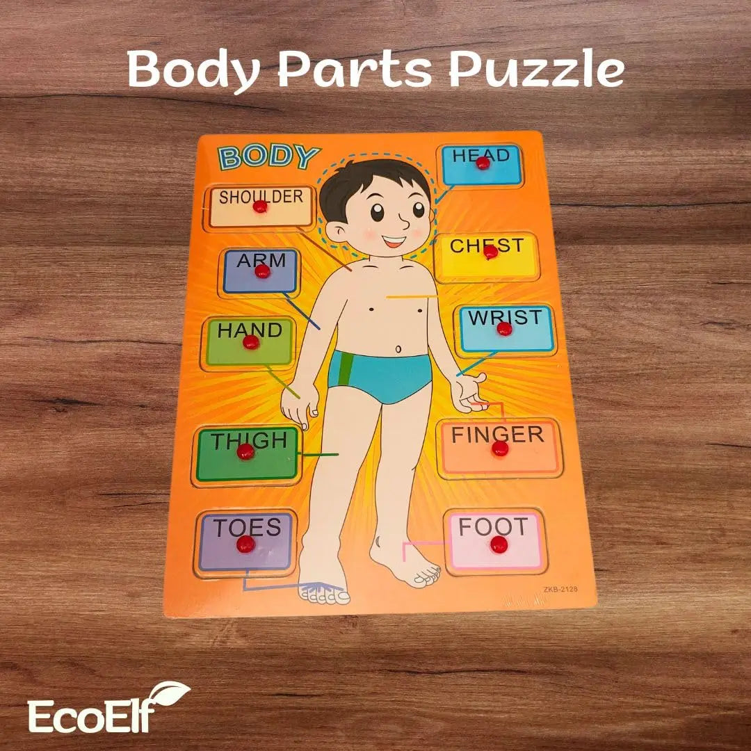 Body Parts Learning Toy with holding grip Maskidz