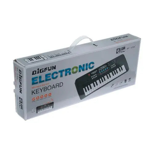 Electronic Keyboard Piano Bigfun BF-430C1 Maskidz