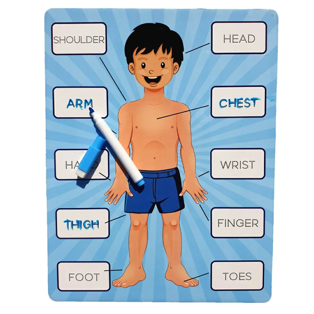 The Human Body Parts Wooden Peg Puzzle Maskidz