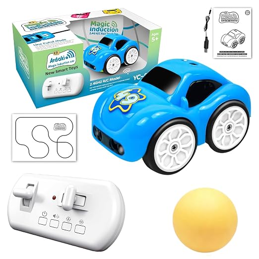 Magic Induction 2.4G RC Rail Track Car SQN-001 MAS KIDZ