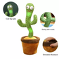 Dancing Cactus