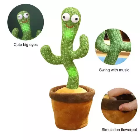 Dancing Cactus