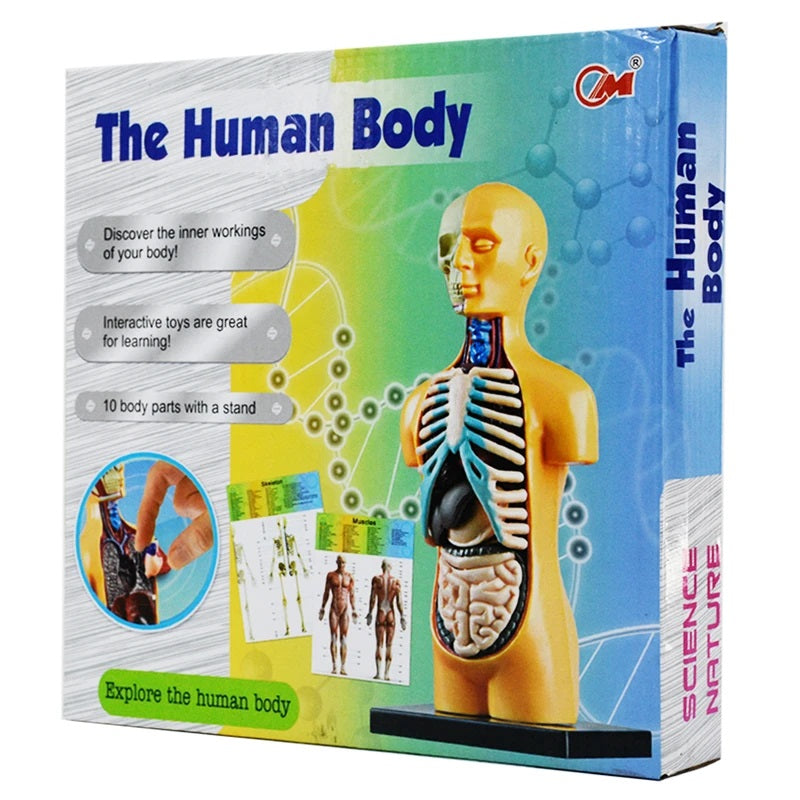 The Human Body Science Nature toy for kids