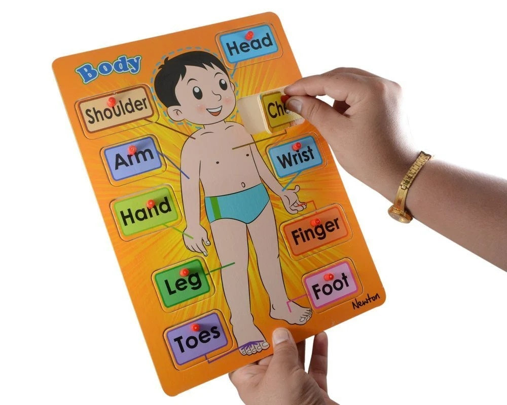 Body Parts Learning Toy with holding grip