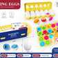 Matching Eggs Shapes FXB-04 MAS KIDZ