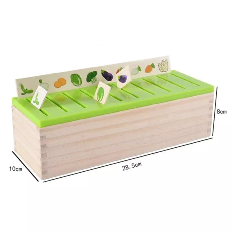 Knowledge Classification Box Wooden