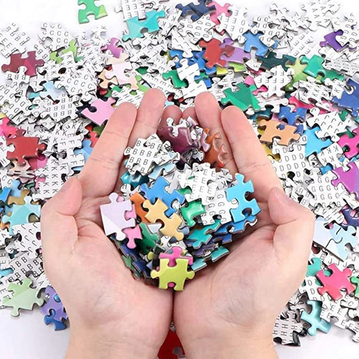 Round puzzle rainbow circle 1000 pieces MAS KIDZ