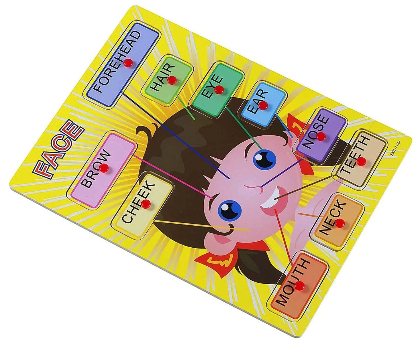 Body Parts Learning Toy with holding grip