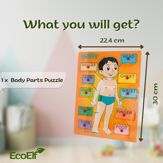 Body Parts Learning Toy with holding grip