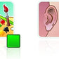 Concept Board Game 0184Y-1