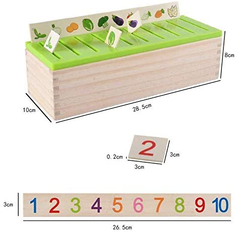 Knowledge Classification Box Wooden