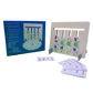 Four Color Logic Game Fruits Wooden