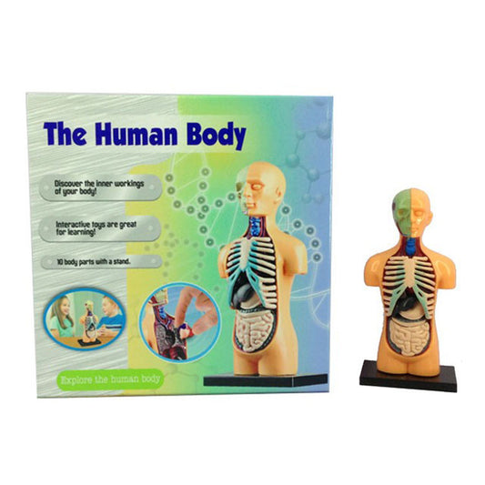 The Human Body Science Nature toy for kids