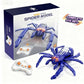 Wall Climbing Spider R/C MAS KIDZ