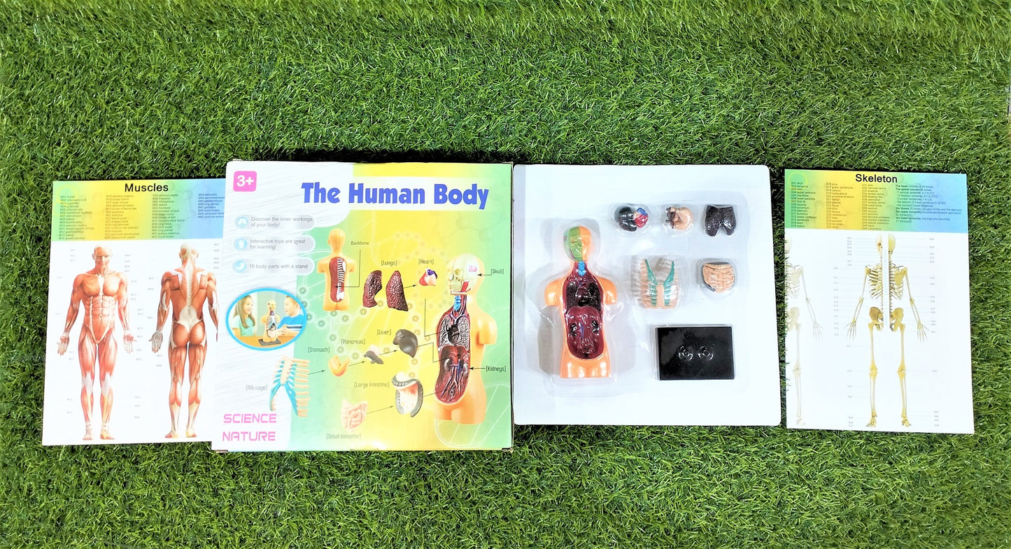 The Human Body Science Nature toy for kids