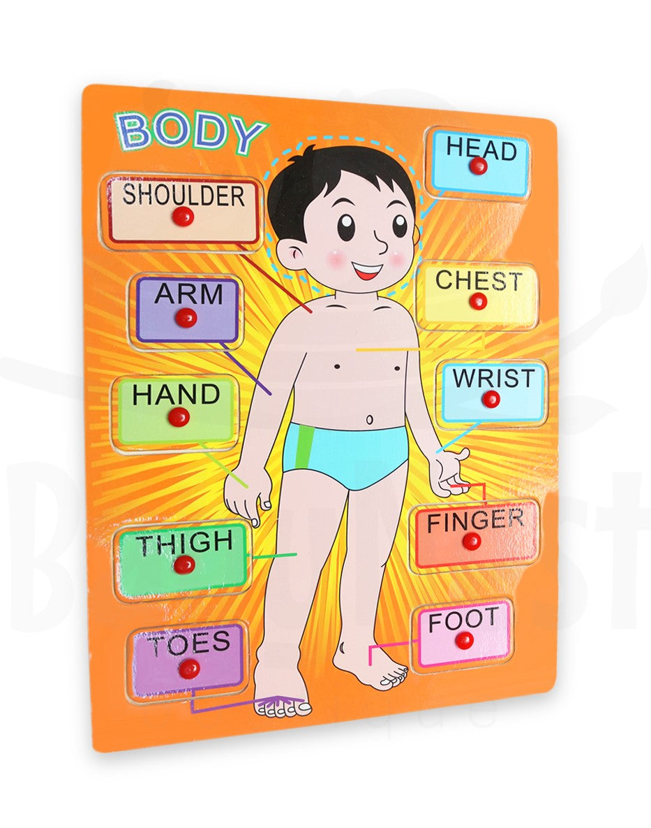 Body Parts Learning Toy with holding grip