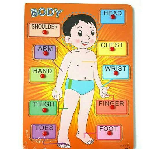 Body Parts Learning Toy with holding grip