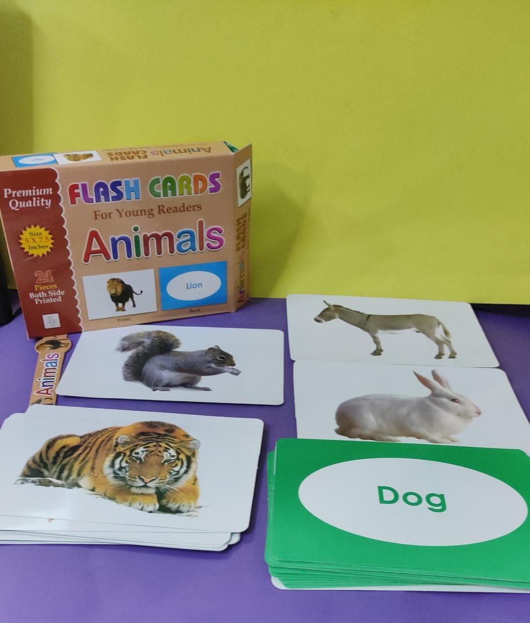 Premium Flash Cards for Young Readers 12 different flash card ABC, abc, 123, alif bai pai, Fruits, Vegetables, Animals, Shapes and Colors, Action, Occupations, Opposites, Transport (24-40 Cards Each) PACK OF 12 FLASH CARD AVAILABLE IN DISCOUNTED PRICE