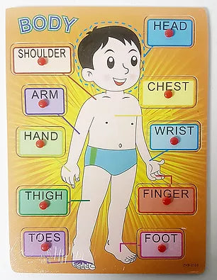 Body Parts Learning Toy with holding grip
