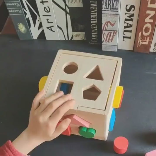 Fifteen Hole Shape Intelligence Box wooden toy