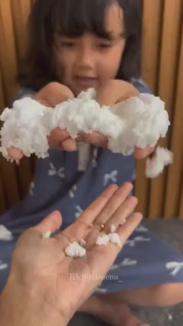 Snow @ Home Frozen Wild City