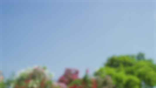 Sequence 8006A China Foldable Plastic Box