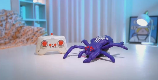 Wall Climbing Spider R/C