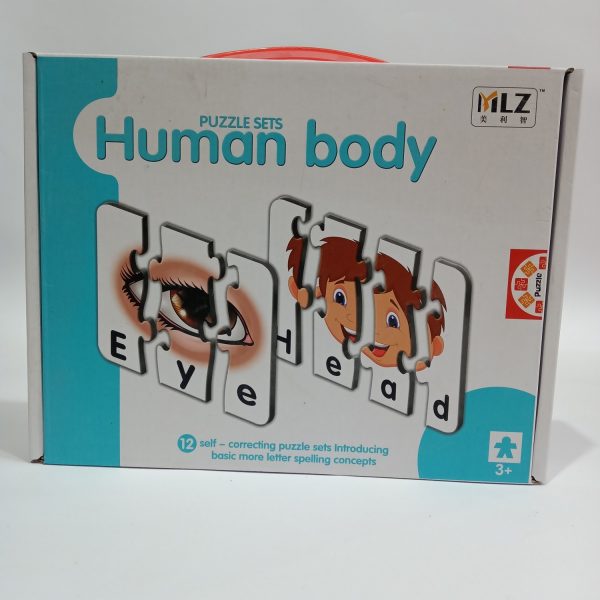 Puzzle Human Body for kids Educational and Learning toy for children