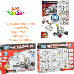 Alloy Building Block 30 Models 242 Pieces Model No 592-4