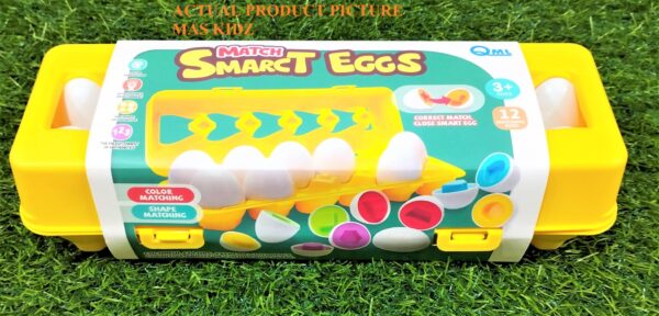 Match Smart Egg 12 Egg Number