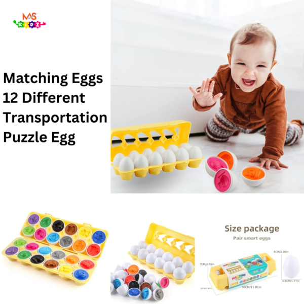 Matching Eggs 12 Different Transportation